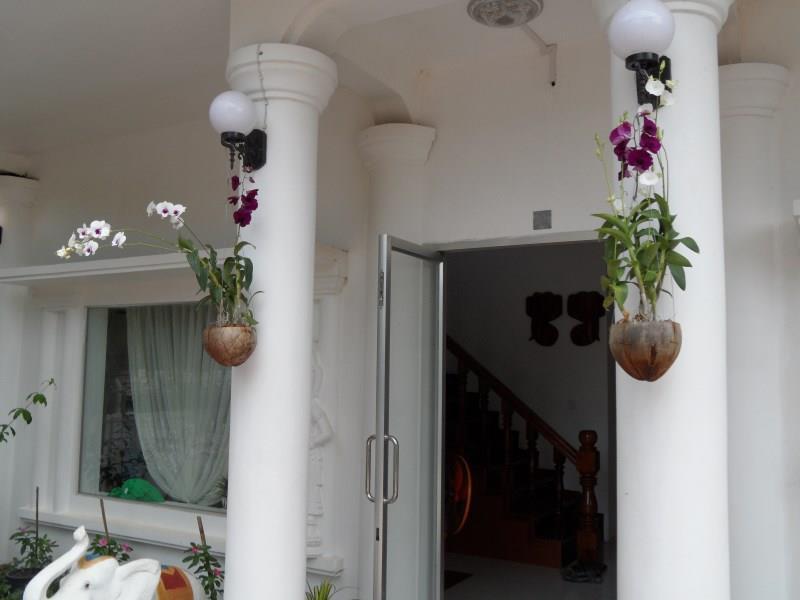 Royal Sok Chhan Ciudad de Siem Riep Exterior foto